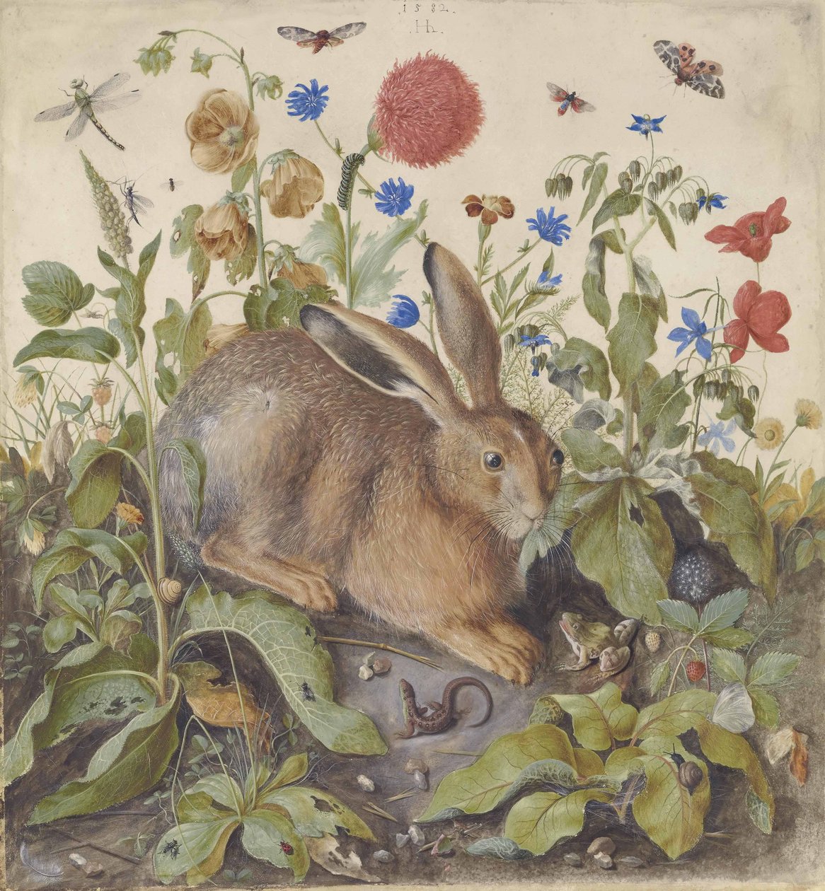 Ein Hase unter Pflanzen, 1582 von Hans Hoffmann
