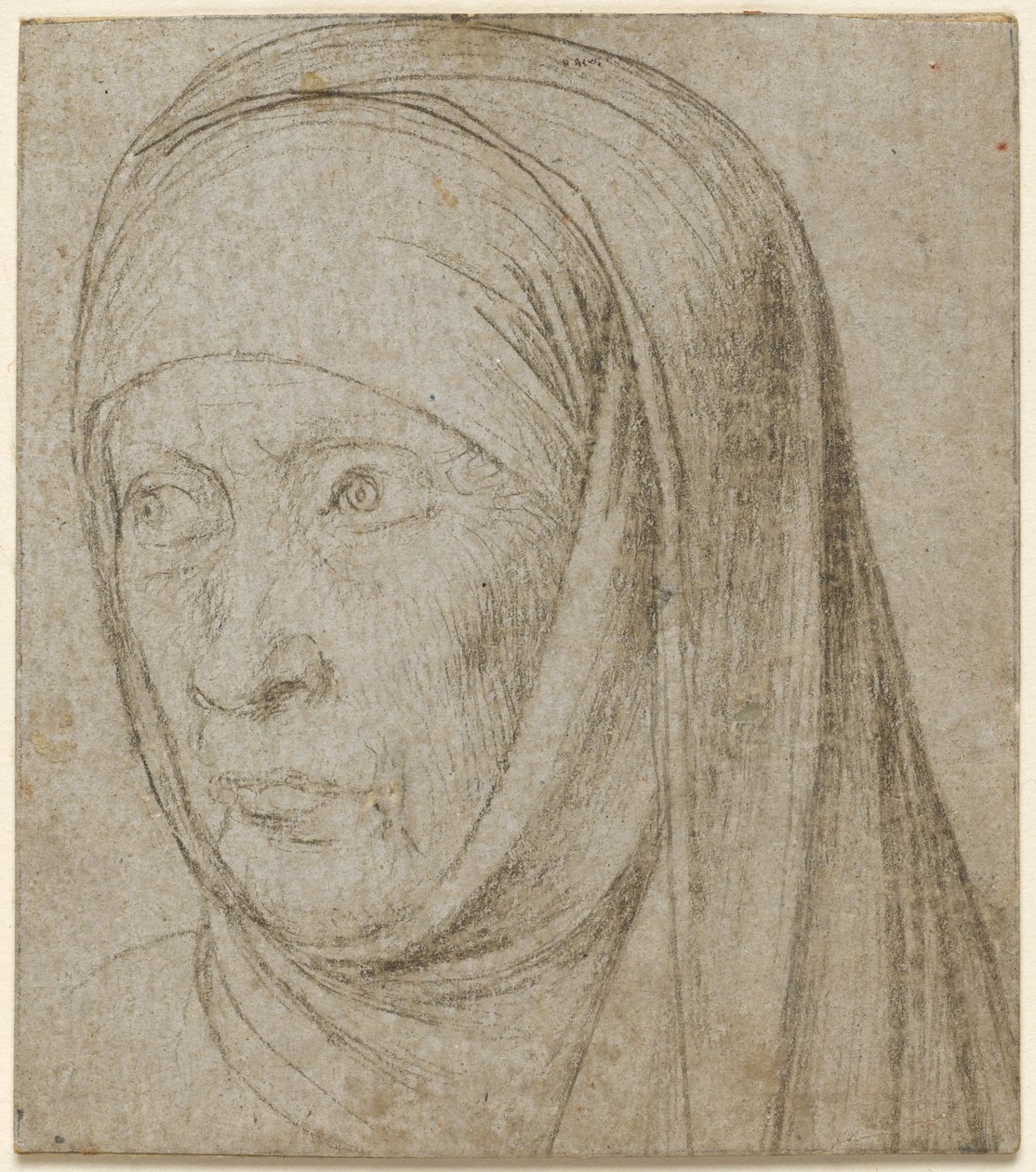 Kopf einer alten Frau, ca. 1500 von Hans Holbein