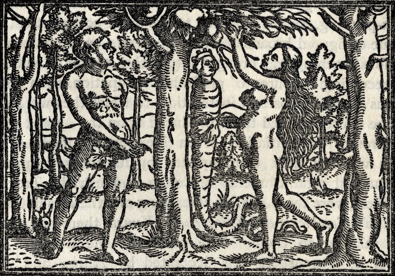 Der Fall von Adam und Eva, aus 