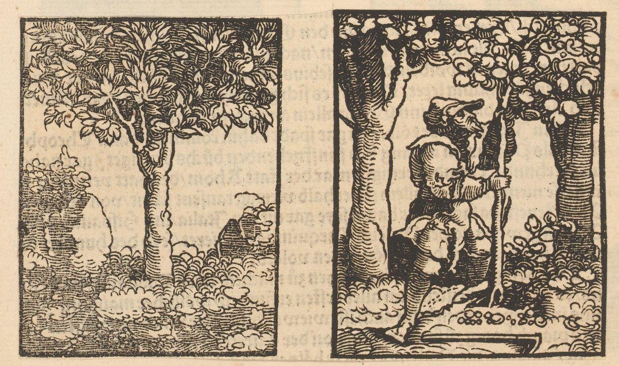 Baum und Darstellung eines Obstpflückers zwischen Bäumen von Hans Schäufelein (possibly)