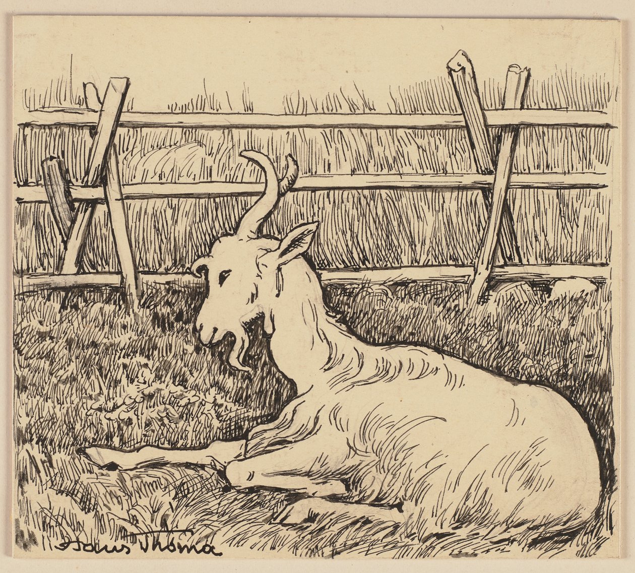 Zeichnung für das Lesebuch: Ziege von Hans Thoma