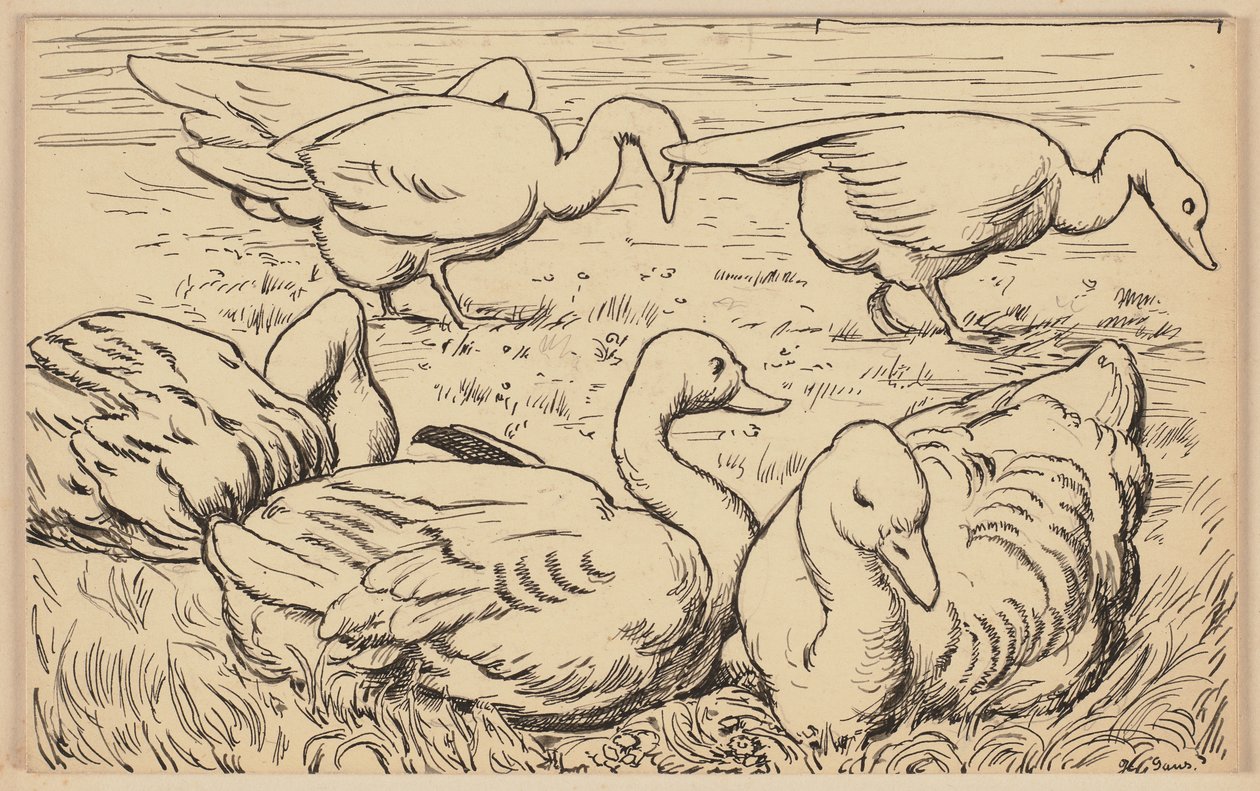 Zeichnung für das Lesebuch: Gans von Hans Thoma