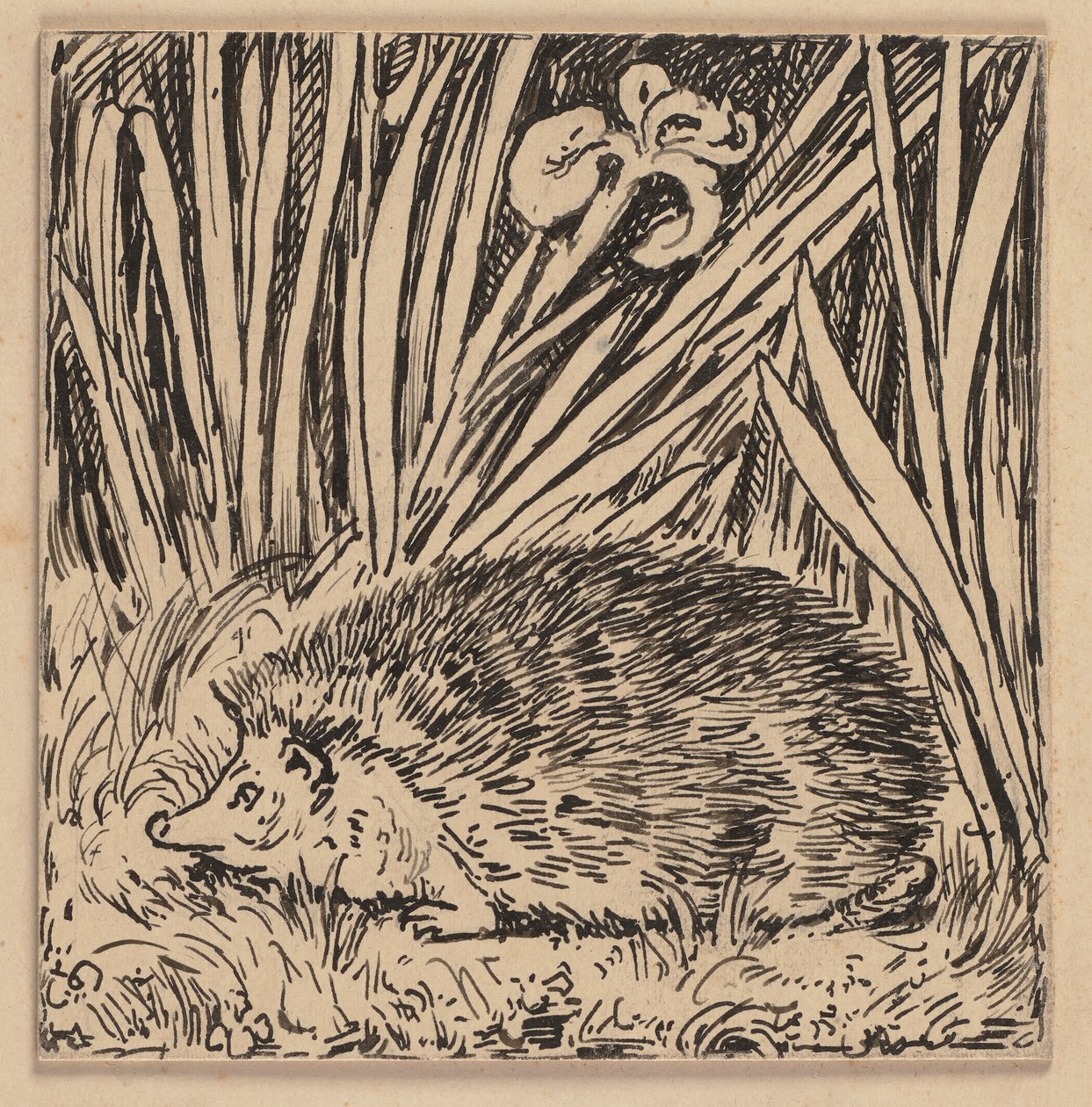 Zeichnung für die Fibel: Igel von Hans Thoma