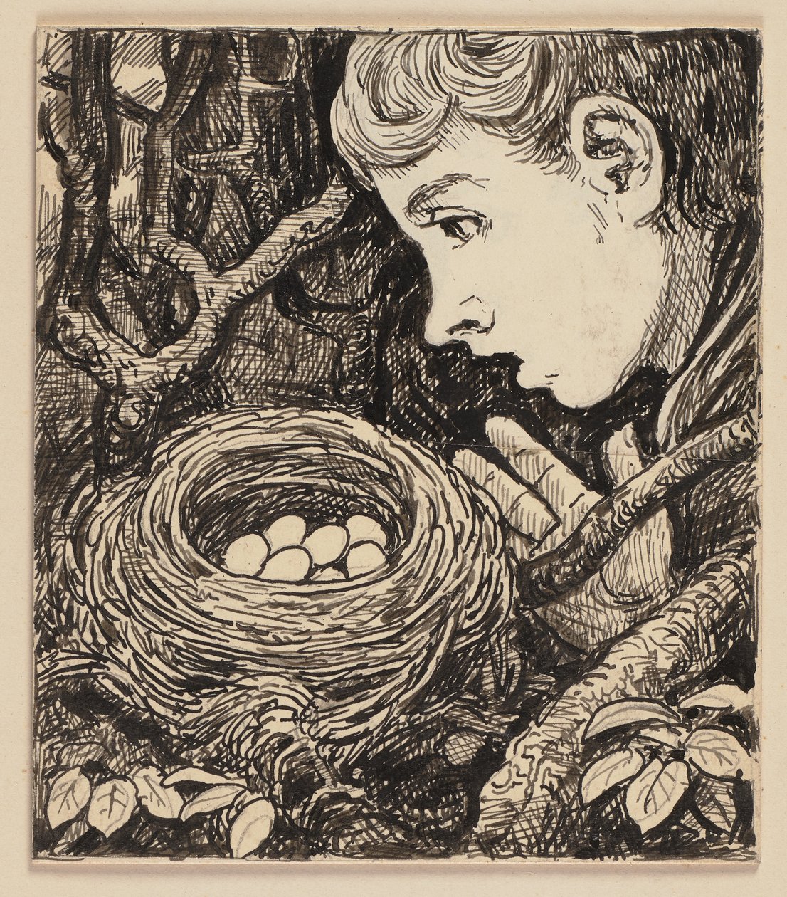 Zeichnung für die Fibel: Nest von Hans Thoma