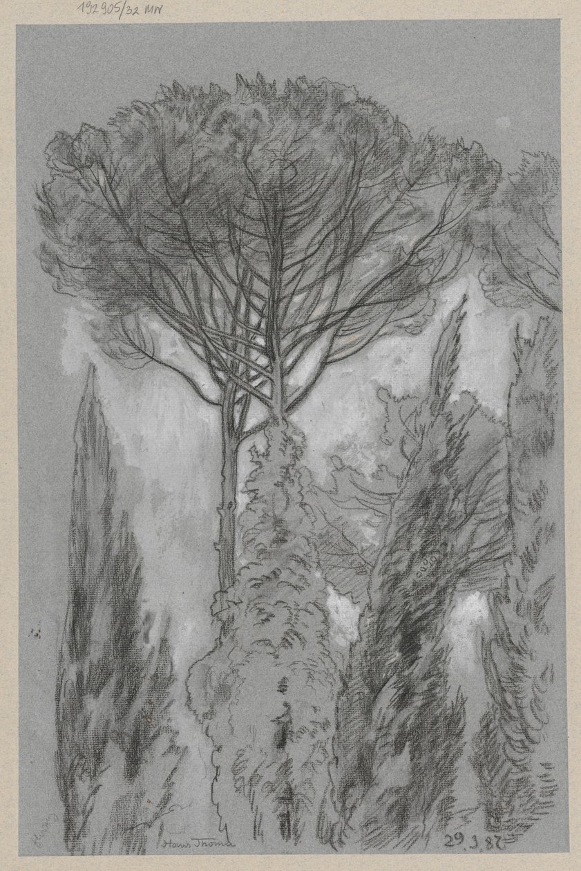 Bäume in Florenz von Hans Thoma