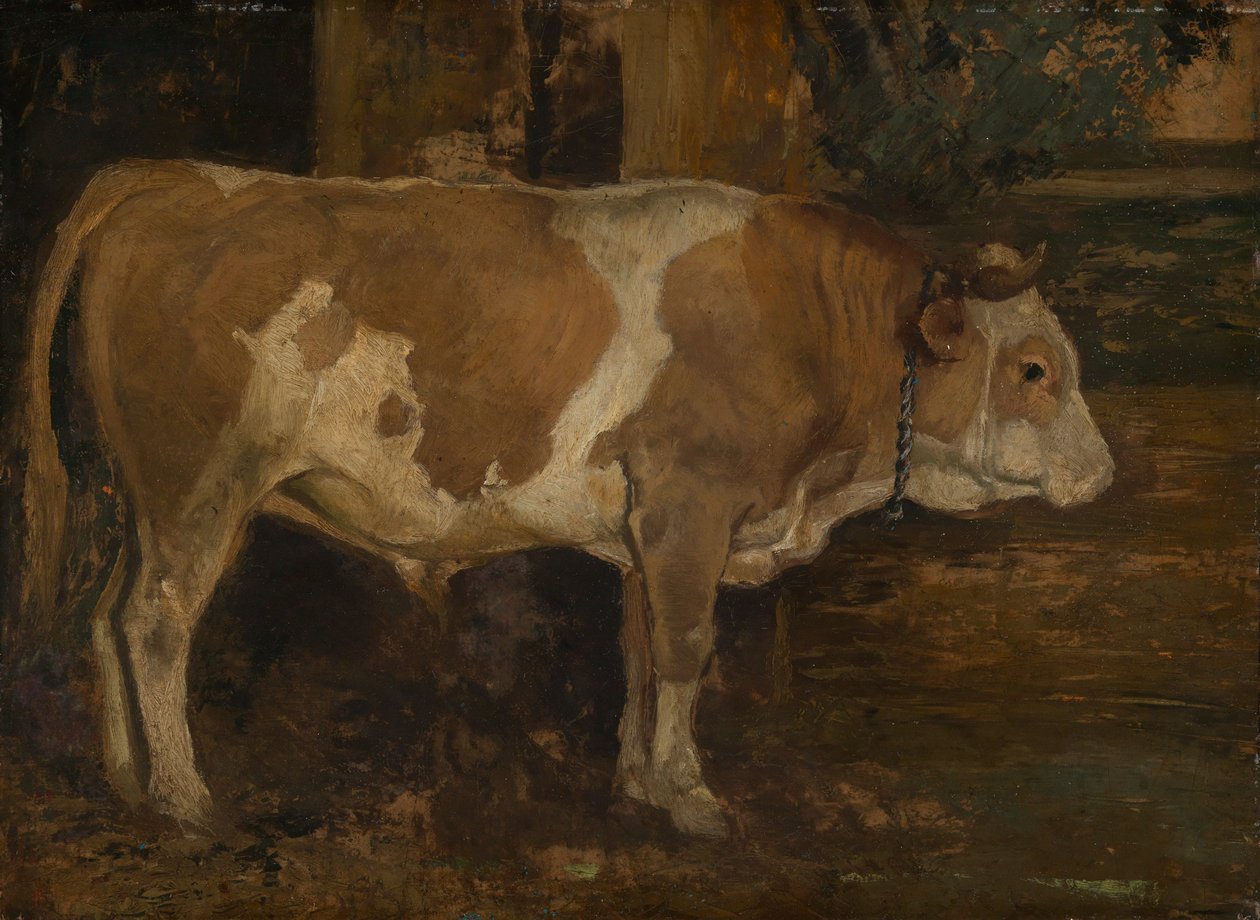 Ochse im Wald von Hans Thoma
