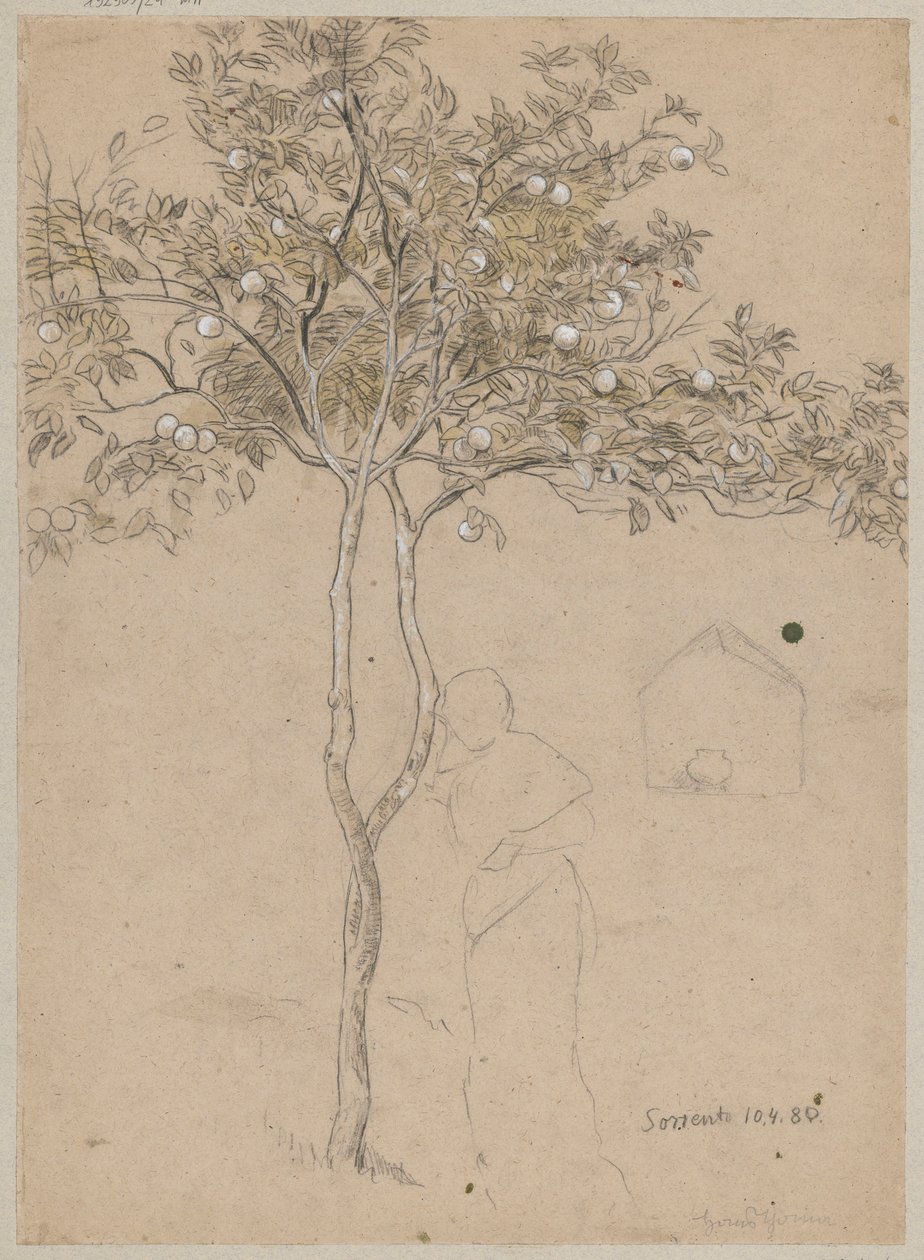 Studie eines Orangenbaums aus der Umgebung von Sorrent. Skizze einer weiblichen Figur von Hans Thoma