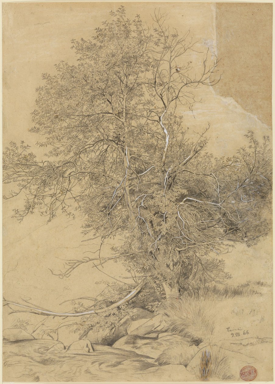 Weide am Bach von Hans Thoma