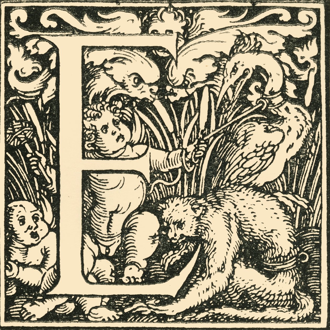 E - Ein Alphabet von Hans Weiditz, um 1520-1521, 1908 von Hans Weiditz