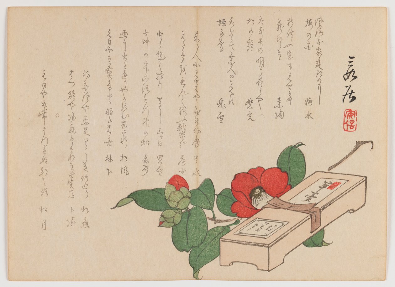 Kamelie mit Süßigkeitenbox (Yokan), ca. 1860 von Hanzan Matsukawa