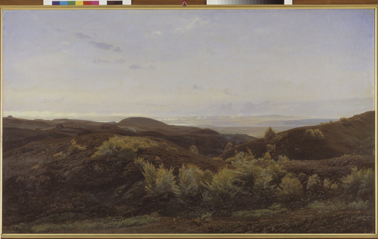 Heidehügel bei Rye, Jütland von Harald Foss