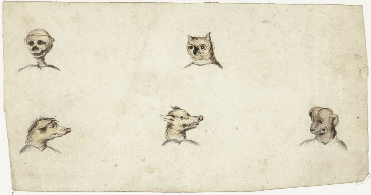 Köpfe von vier Tieren und ein Skelett von Harmen ter Borch