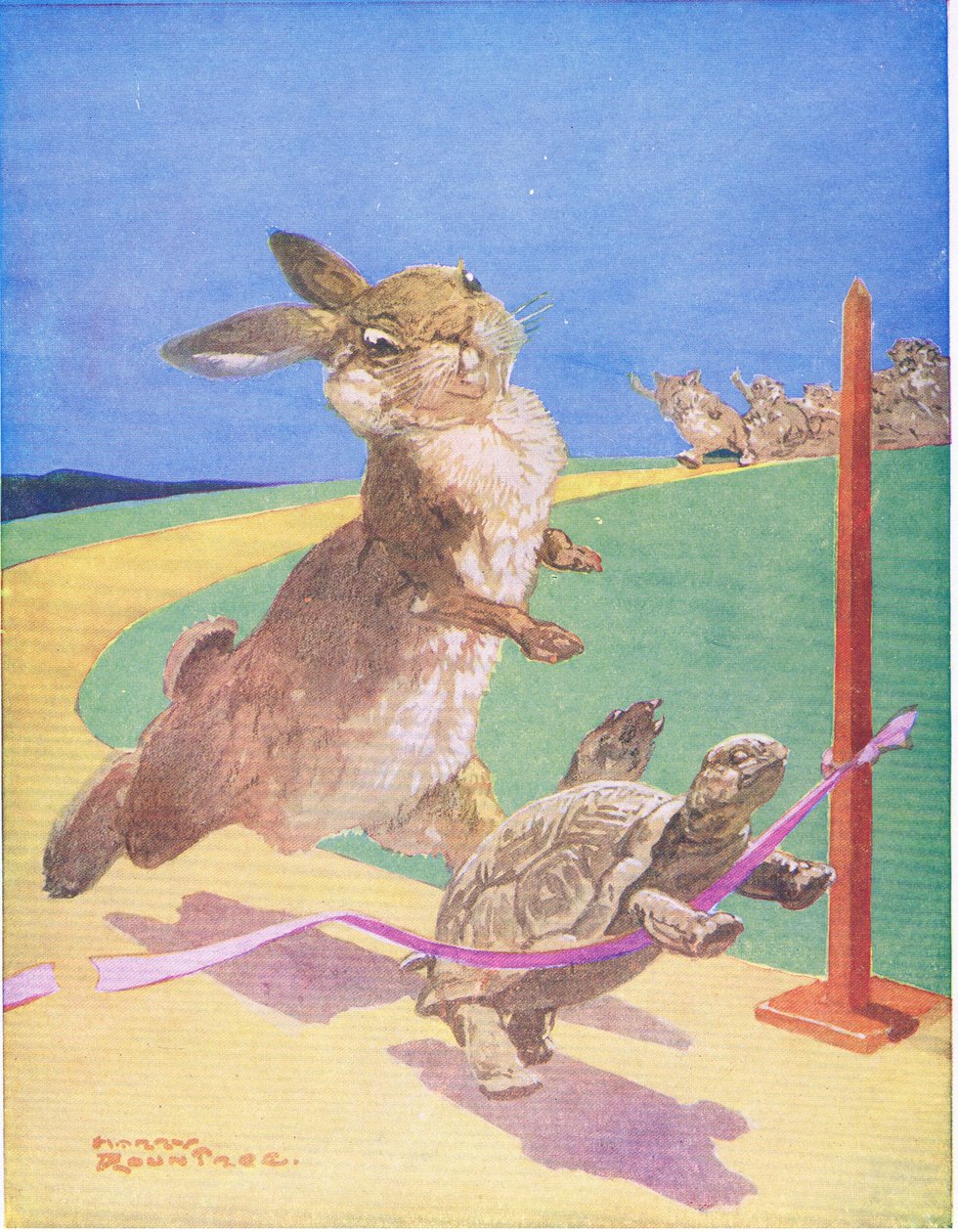 Der Hase und die Schildkröte von Harry Rountree