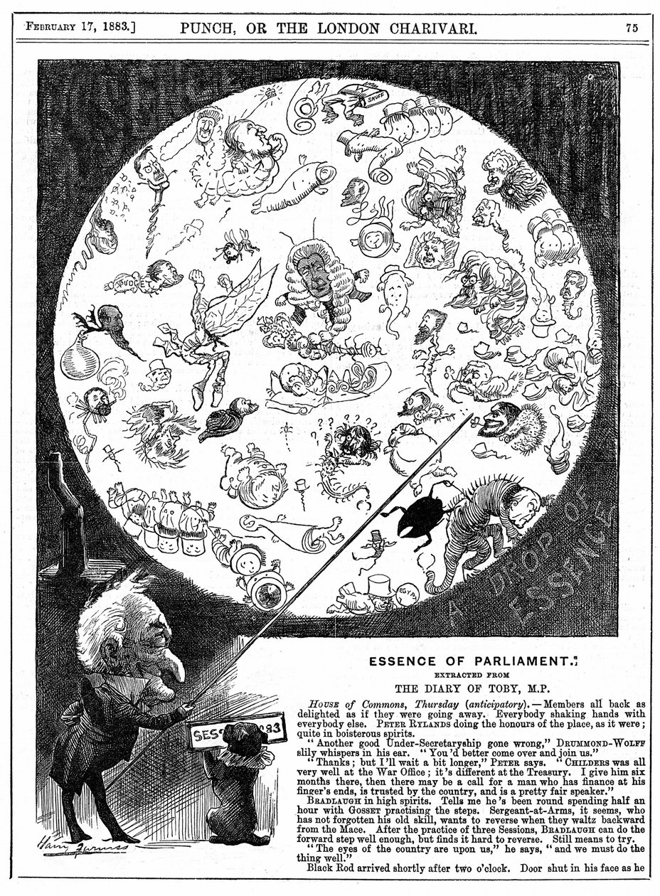 Essenz des Parlaments: Karikatur zur Eröffnung der ersten Parlamentssitzung von 1883 von Harry Furniss