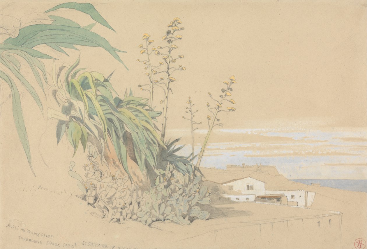Aloen und Feigenkakteen, Tarragona, Spanien von Harry John Johnson