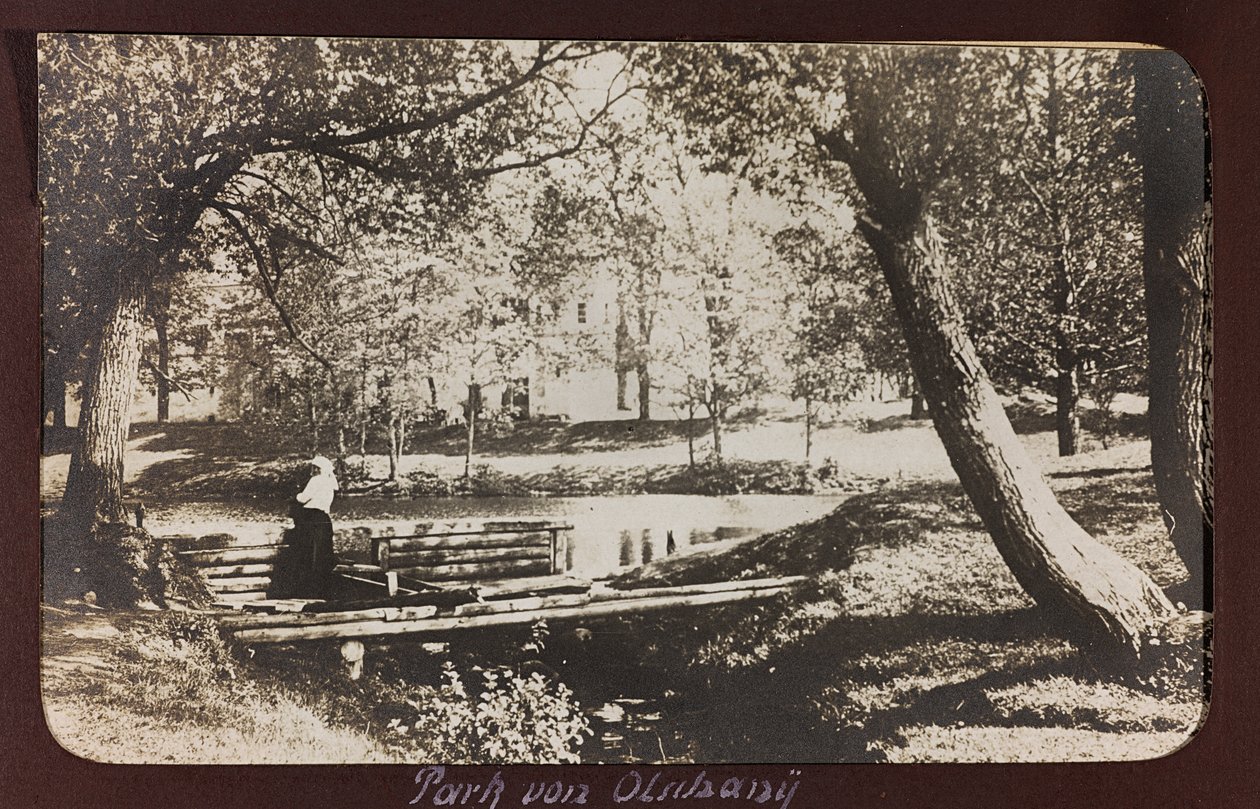 Erster Weltkrieg: Die Ukraine in den Jahren 1914-1916 während der Invasion der deutschen Armee. Ein Park (s/w Foto) von Heldenfriedhof Dsessentniki (attr. to)
