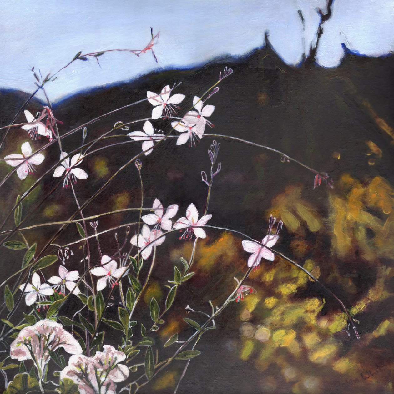 Provenzalischer Garten I, 2014 von Helen White