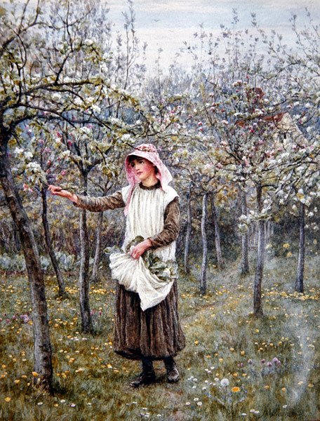 Blütezeit von Helen Allingham