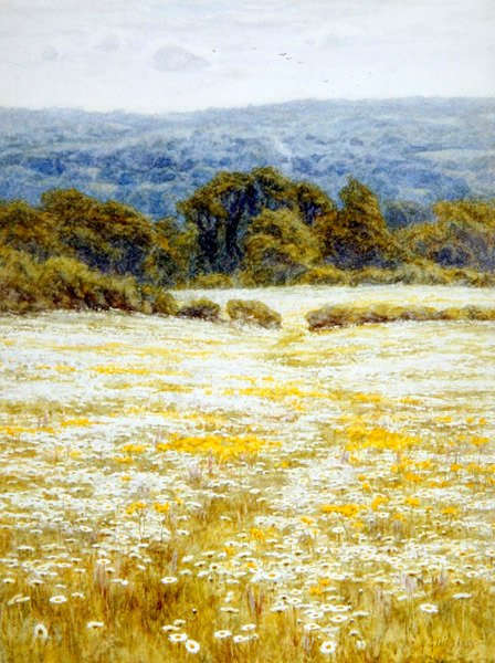 Wiesenmargeriten, nahe Westerham, Kent von Helen Allingham
