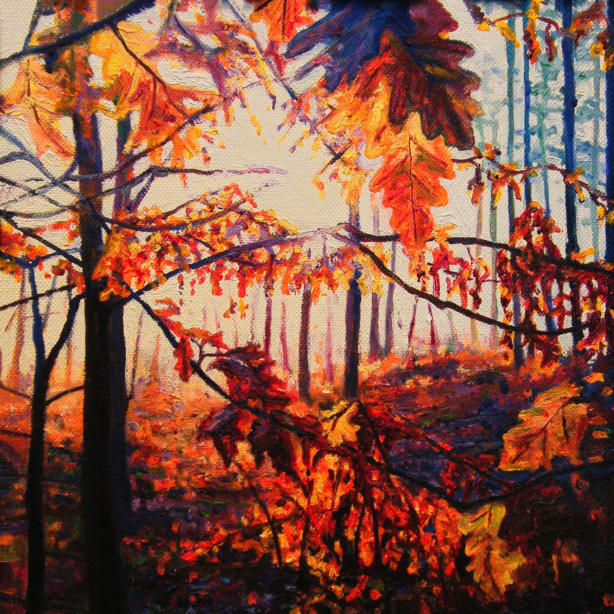 Kupferwälder von Helen White