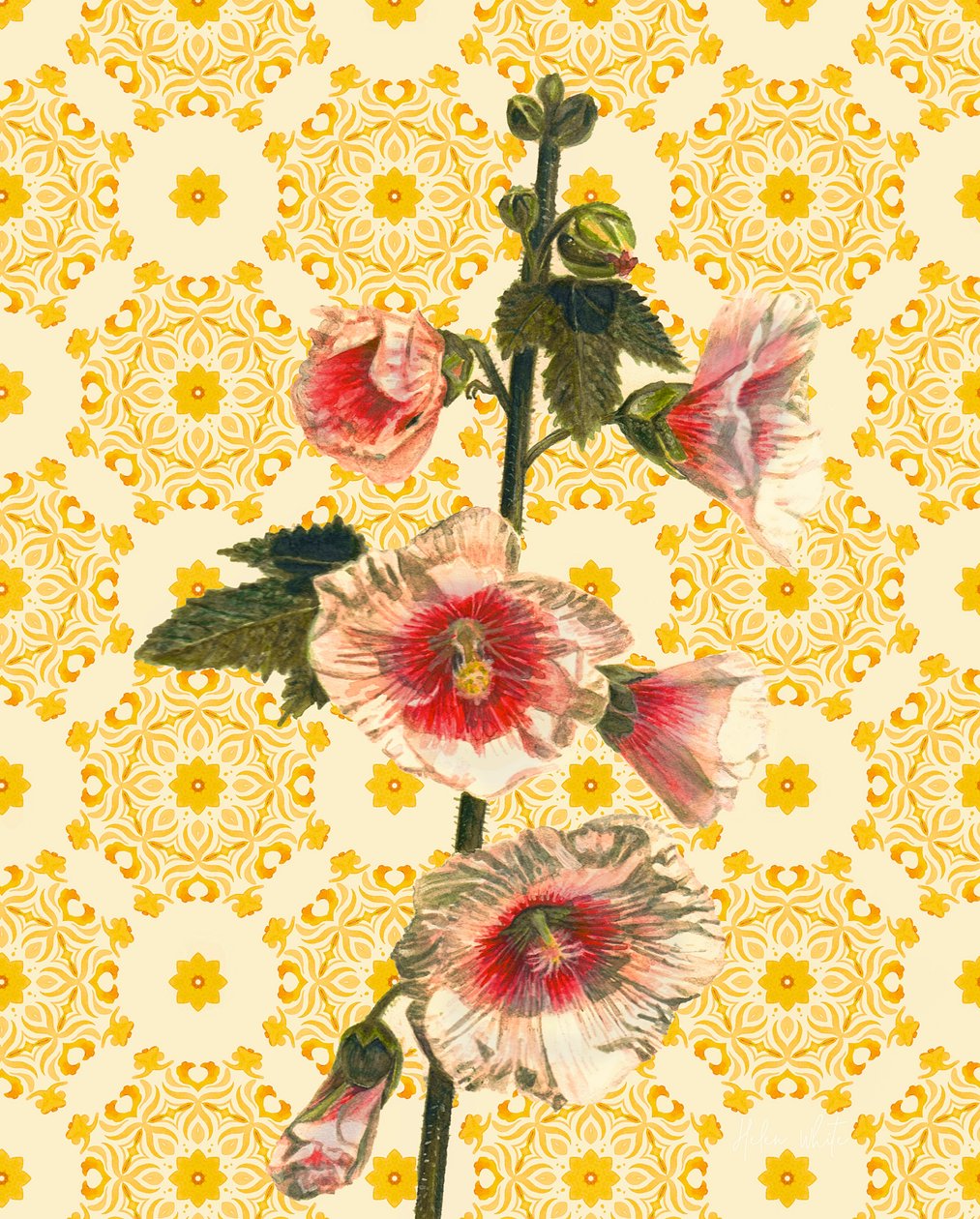 Stockrosen im Sonnenschein von Helen White