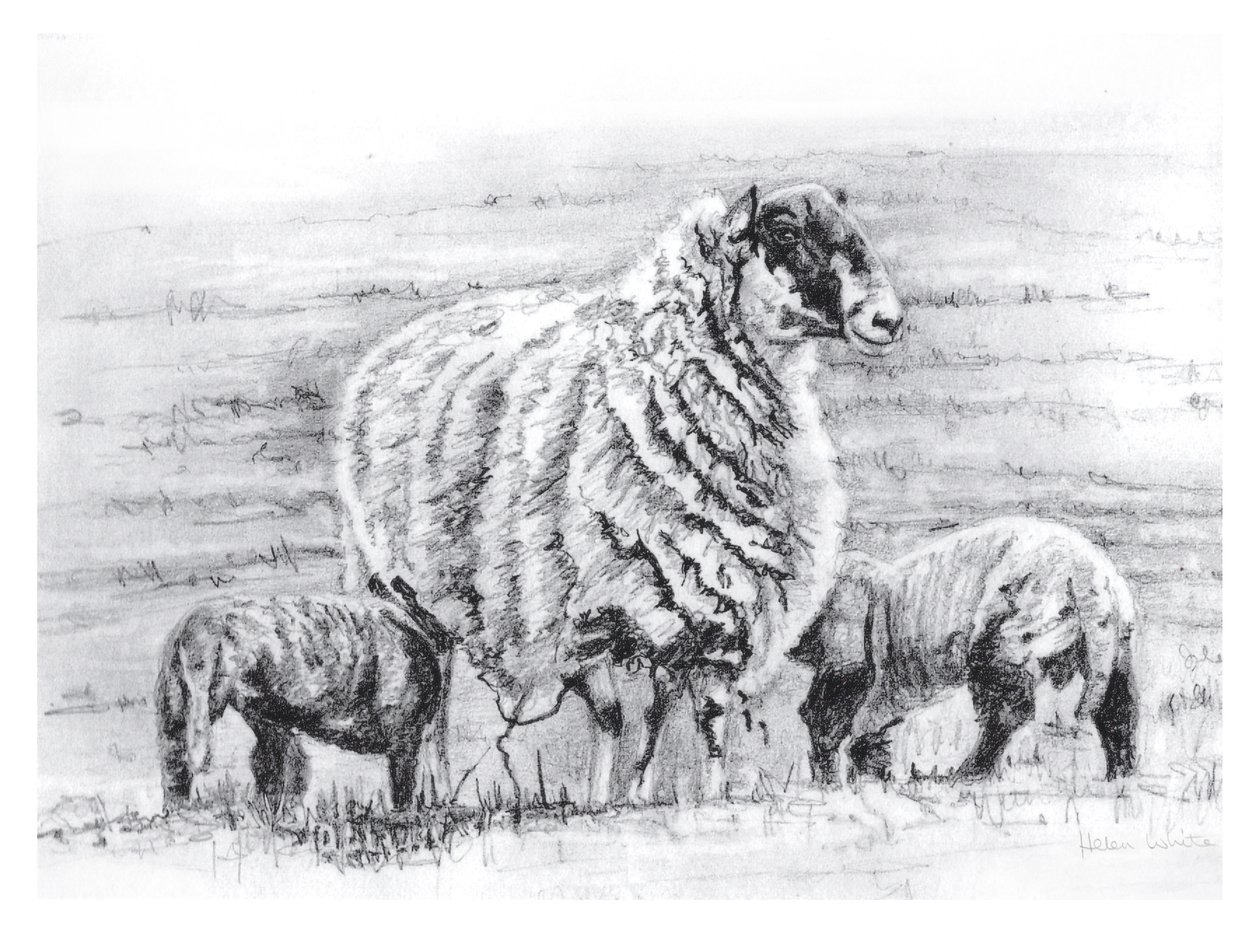 Stolz von Helen White