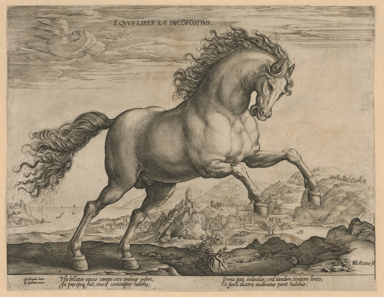Wildes Pferd von Hendrick Goltzius