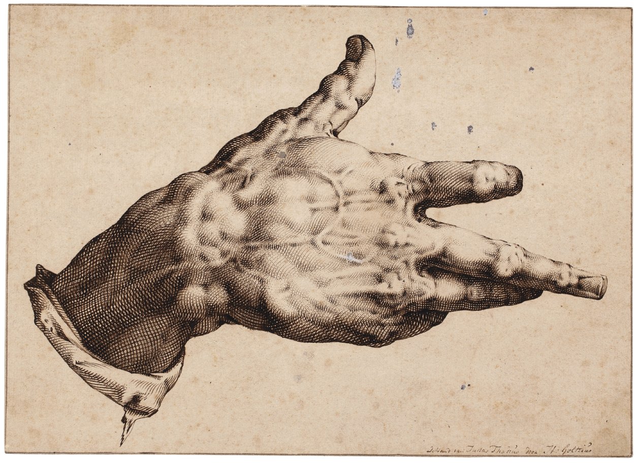 Die rechte Hand des Künstlers von Hendrik Goltzius
