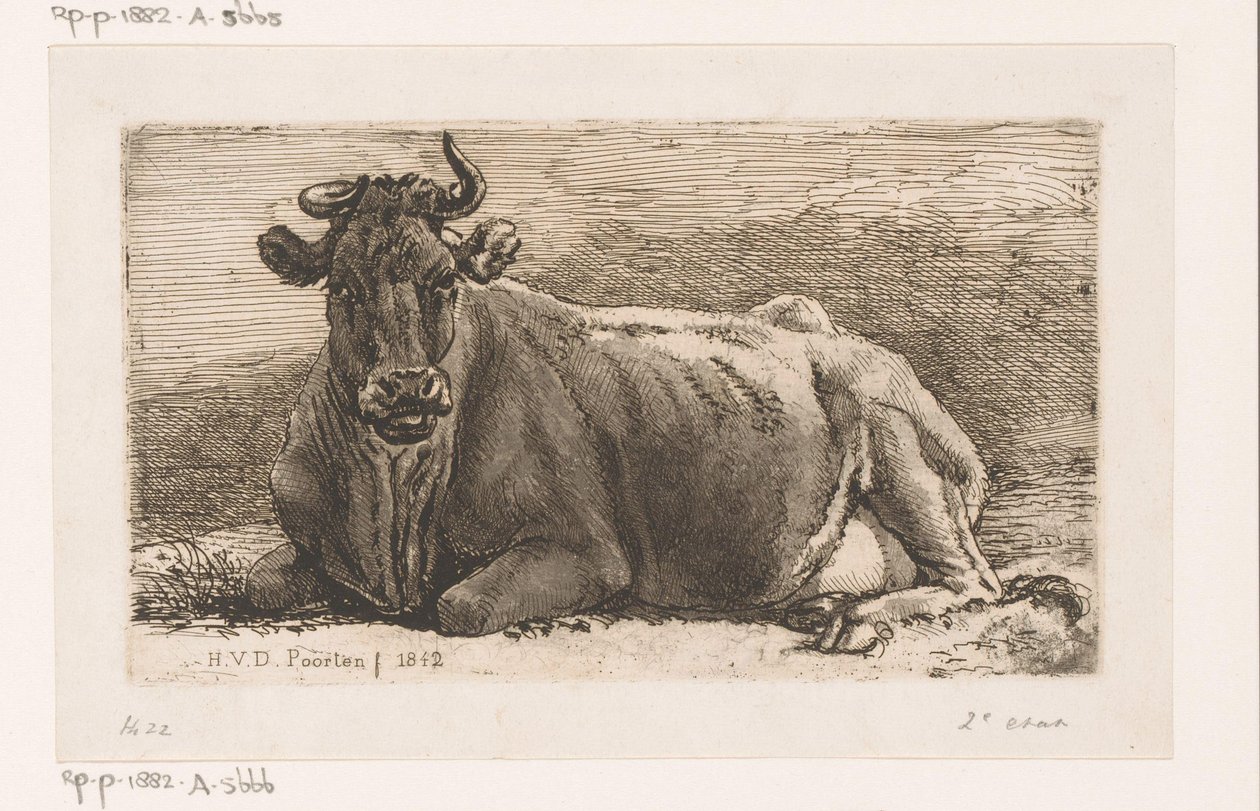 Liegende Kuh von Hendrik Jozef Franciscus van der Poorten