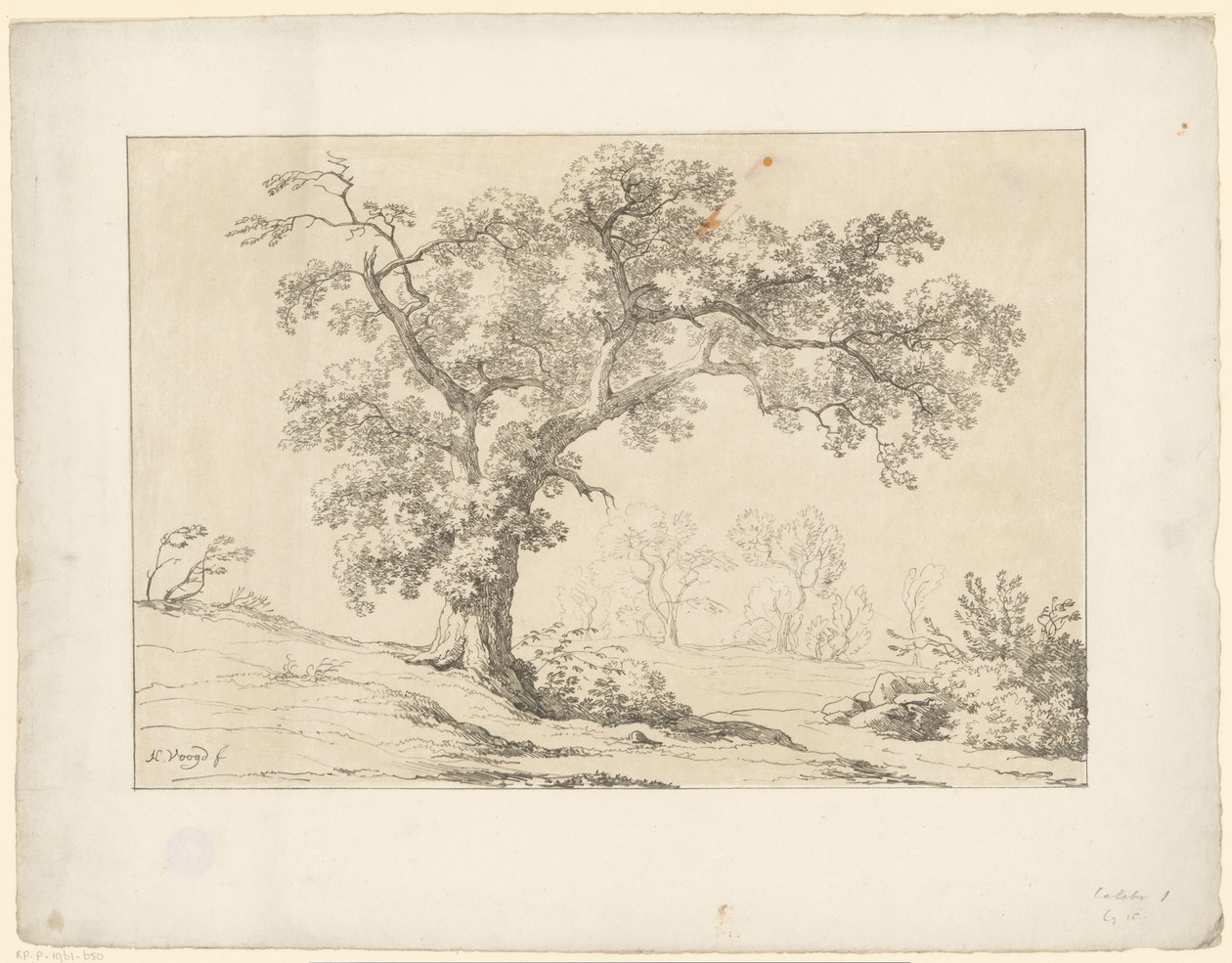 Baum in Landschaft von Hendrik Voogd