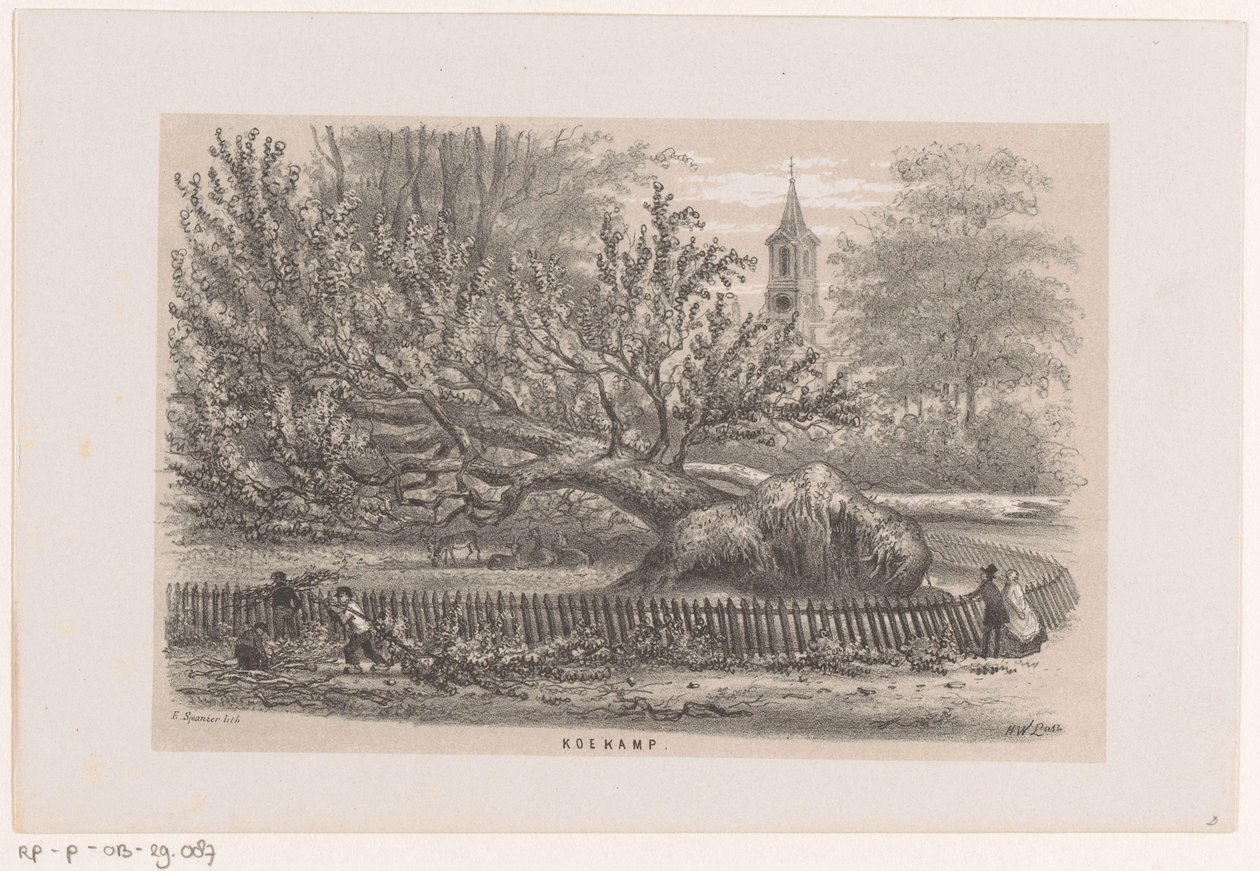 Umgestürzter Baum bei der Koekamp, nach dem Sturm vom 28. Mai 1860 von Hendrik Wilhelmus Last