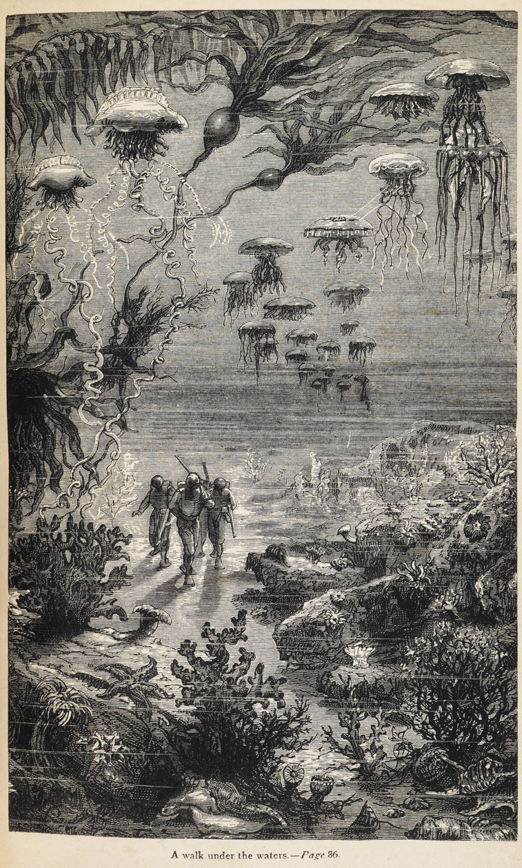 Illustration für 