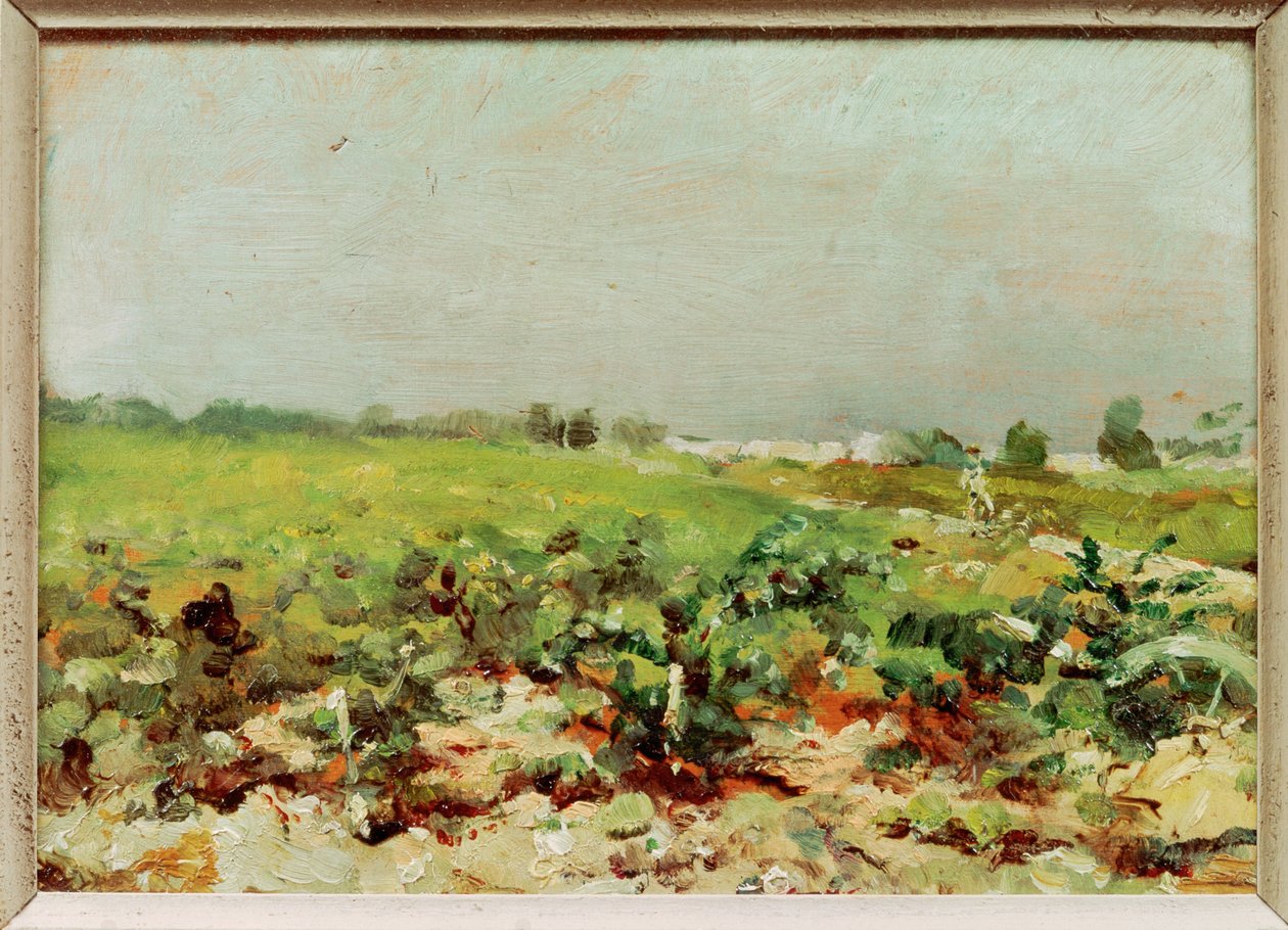 Blick auf die Weinberge von Henri de Toulouse-Lautrec