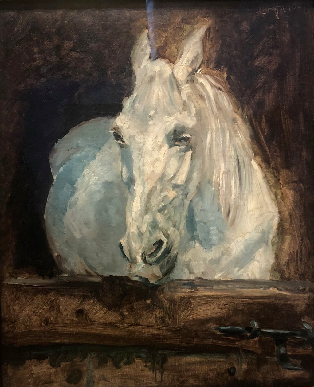 Das weiße Pferd Gazelle von Henri de Toulouse Lautrec
