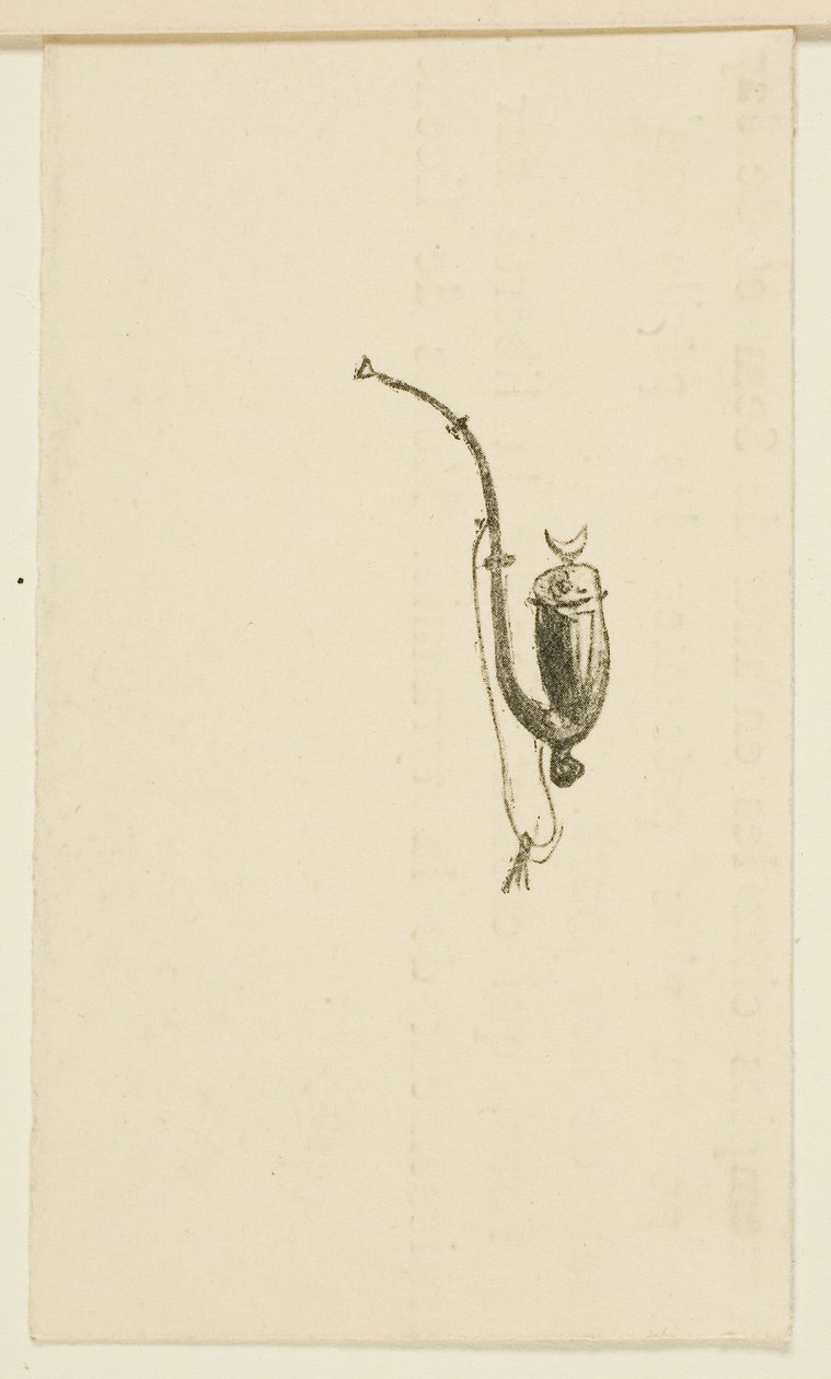 Vignette aus Au Pied du Sinaï von Henri de Toulouse Lautrec