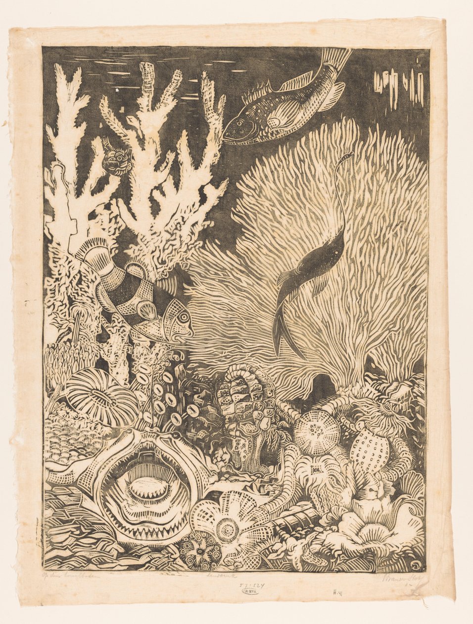 Auf dem Korallenboden von Henri van der Stok (signed by artist)