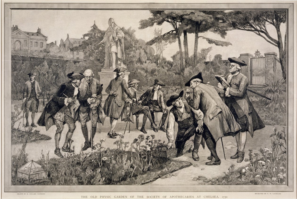 Der alte Physic Garden der Society of Apothecaries in Chelsea, 1750, graviert von Thomas W. Lascelles, 1890 von Henry Gillard Glindoni