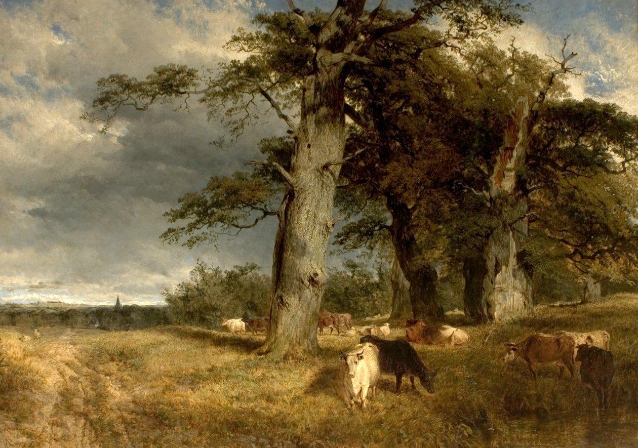 Landschaft in den Dukeries, Nottinghamshire, 1850 von Henry Dawson