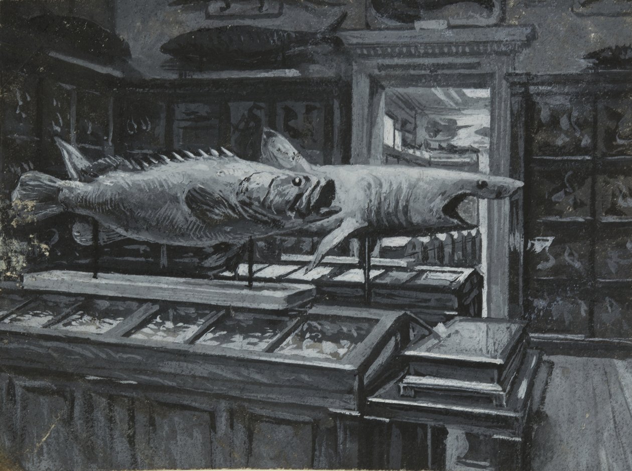 Innenansicht des British Museum mit der Galerie der Fisch-Exponate, ca. 1880 von Henry Edward Tidmarsh
