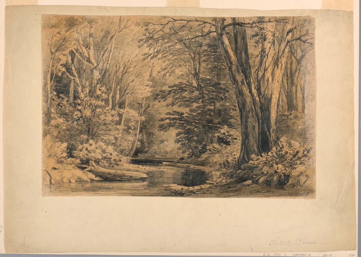 Zeichnung, Ein Bach im Wald, 1854 von Henry Hitchings
