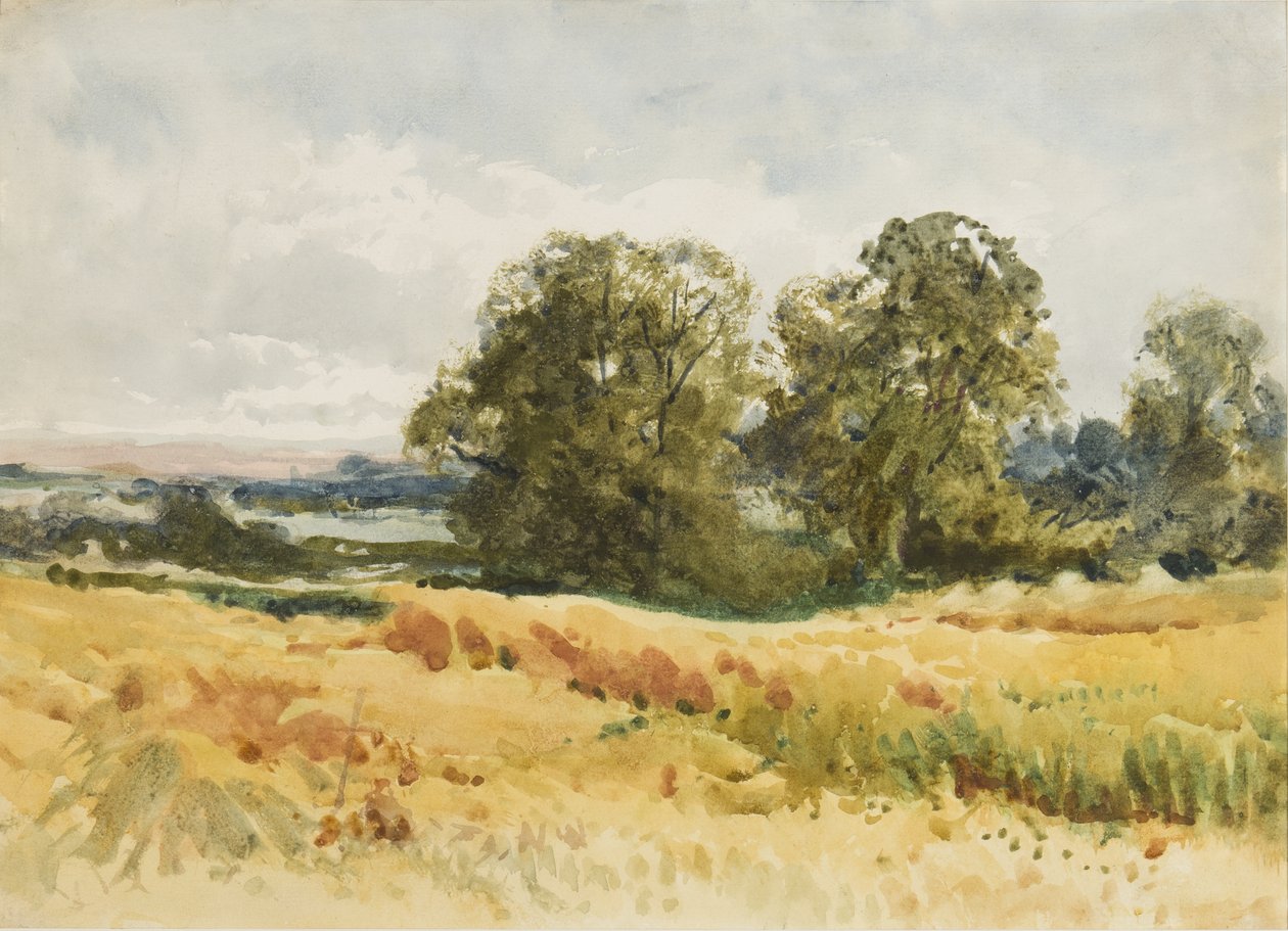 Erntefeld, ca. 1910 von Henry John Sylvester Stannard