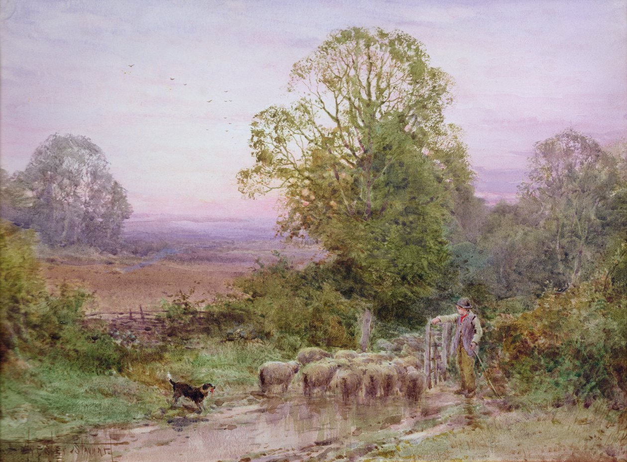 Schafe hüten von Henry John Sylvester Stannard