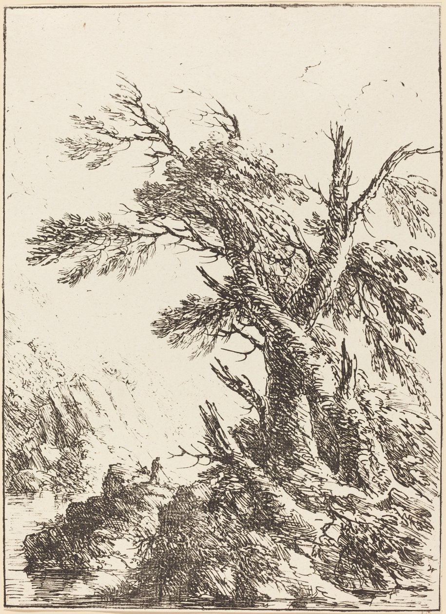 Landschaft mit alten Bäumen am Wasser von Henry Richard Greville, 3rd earl of Warwick
