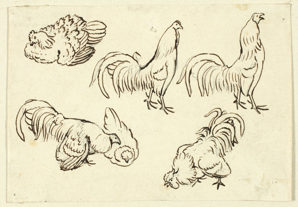 Skizzen von Geflügel von Henry Stacy Marks