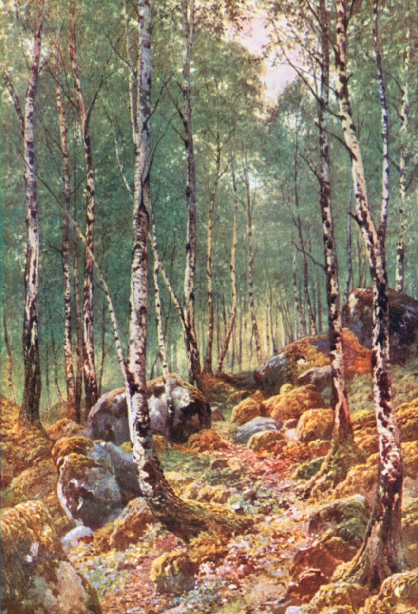 Ein Birkenwald im Frühling, am Loch Maree, Ross-Shire von Henry Sutton Palmer