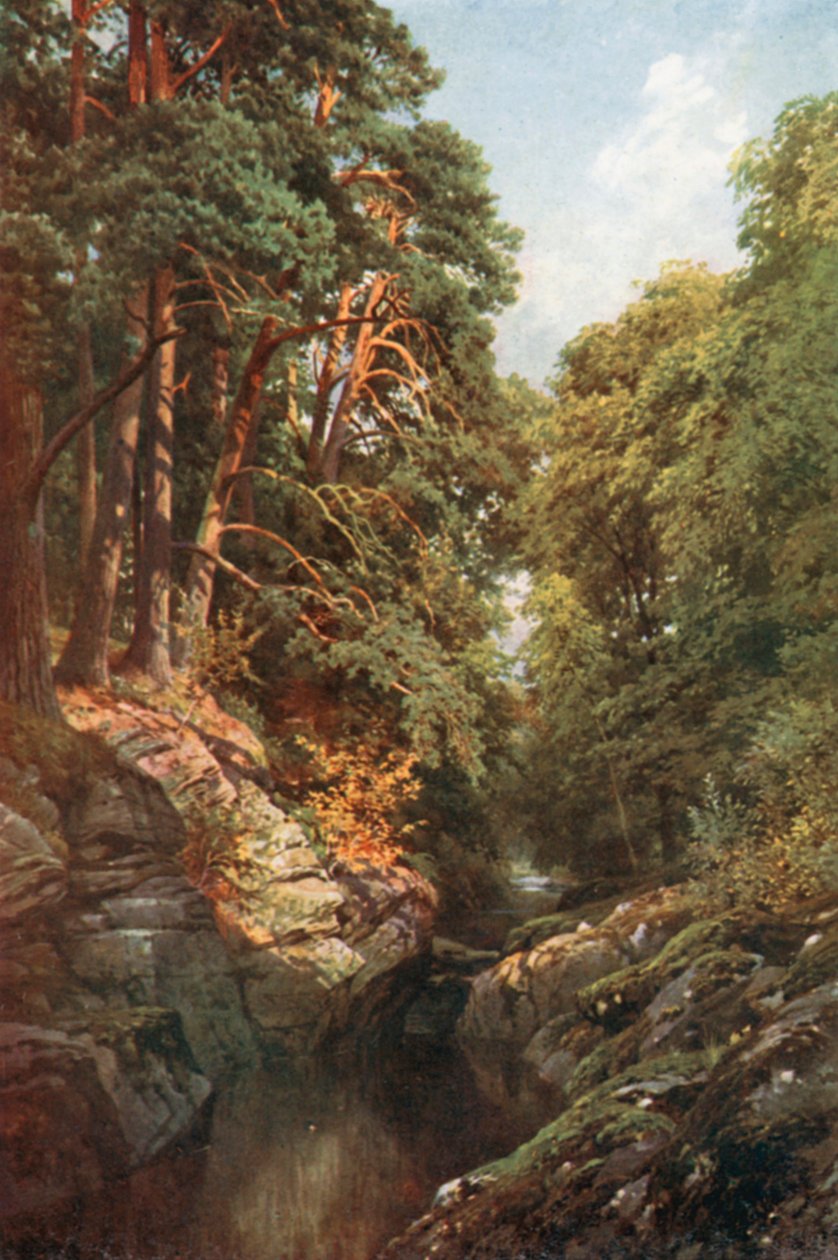 Eine bewaldete Schlucht, Killin, Perthshire von Henry Sutton Palmer