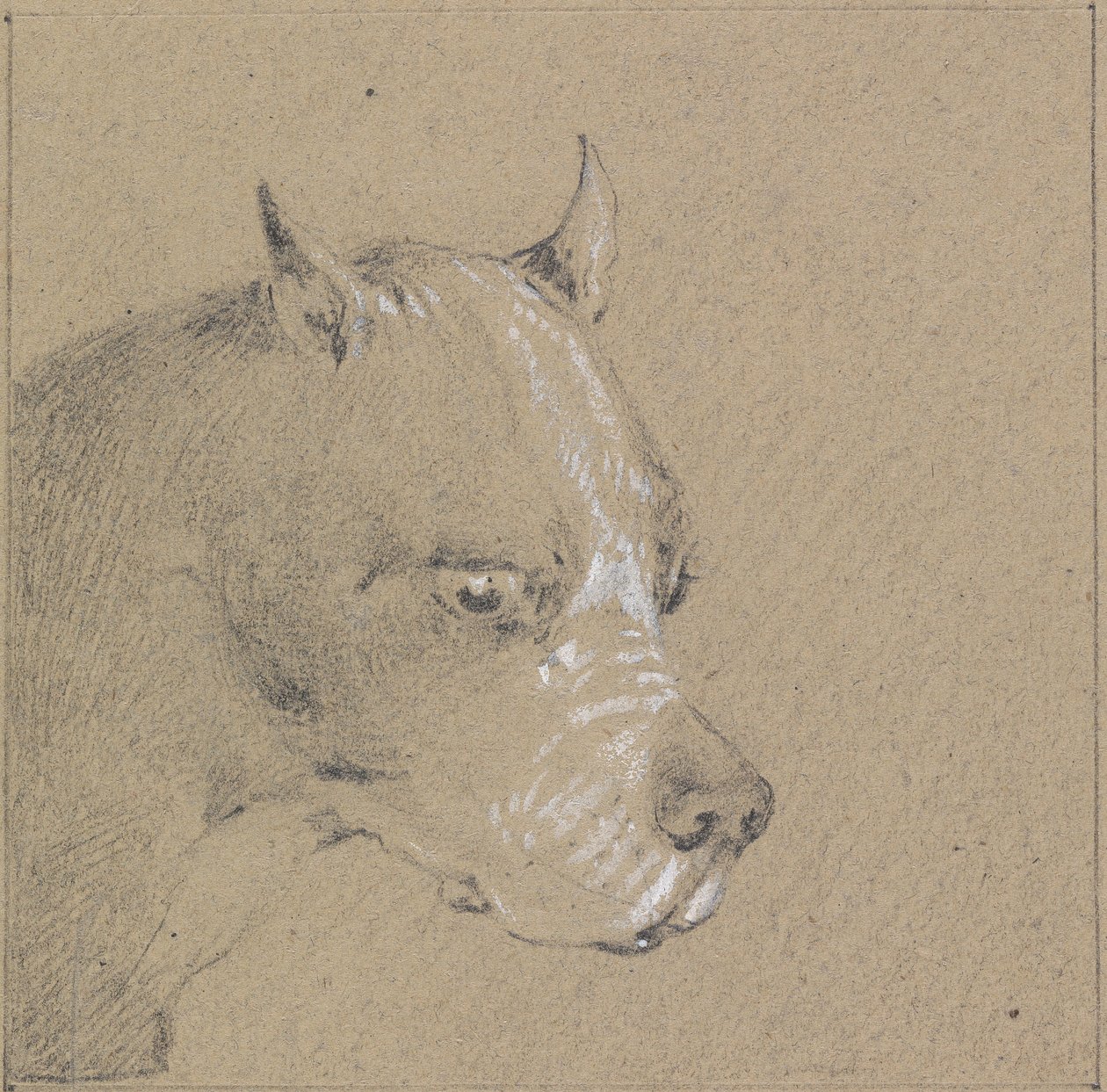Kopf und Schultern eines Boxerhundes, Profil nach rechts von Henry Thomas Alken