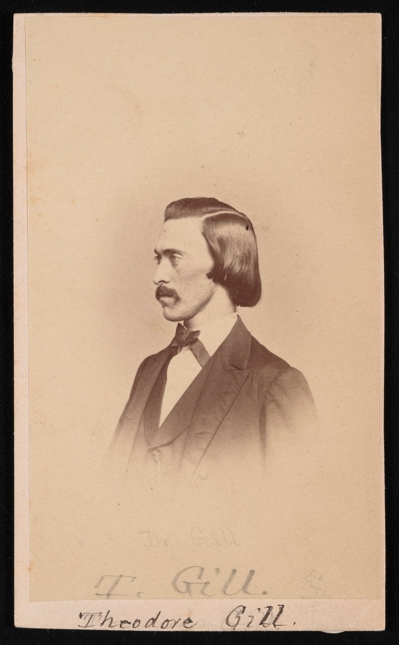 Porträt von Theodore Nicholas Gill 1837-1914, zwischen 1865 und 1870 von Henry Ulke