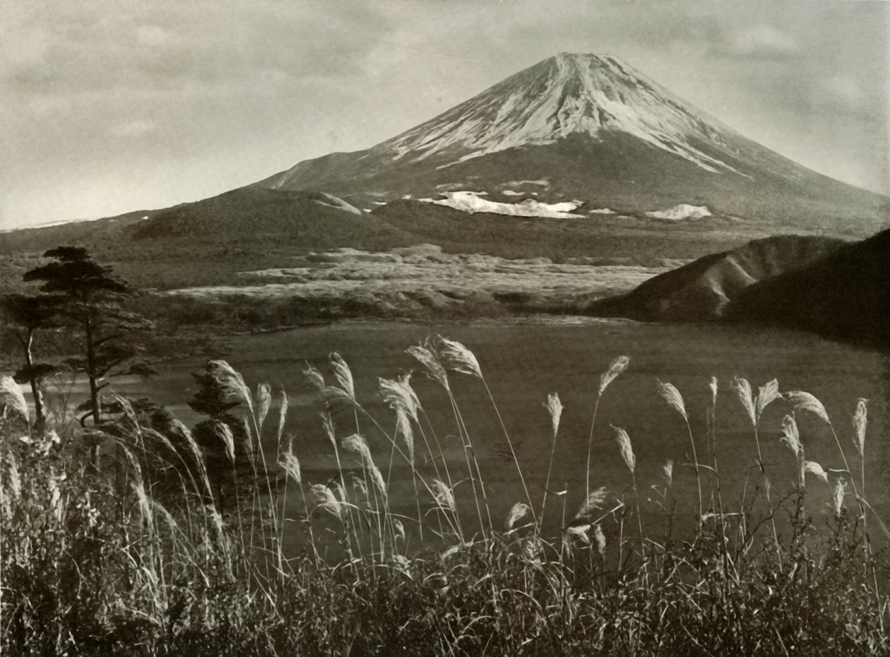 Fuji und das Kaia-Gras, 1910 von Herbert Ponting