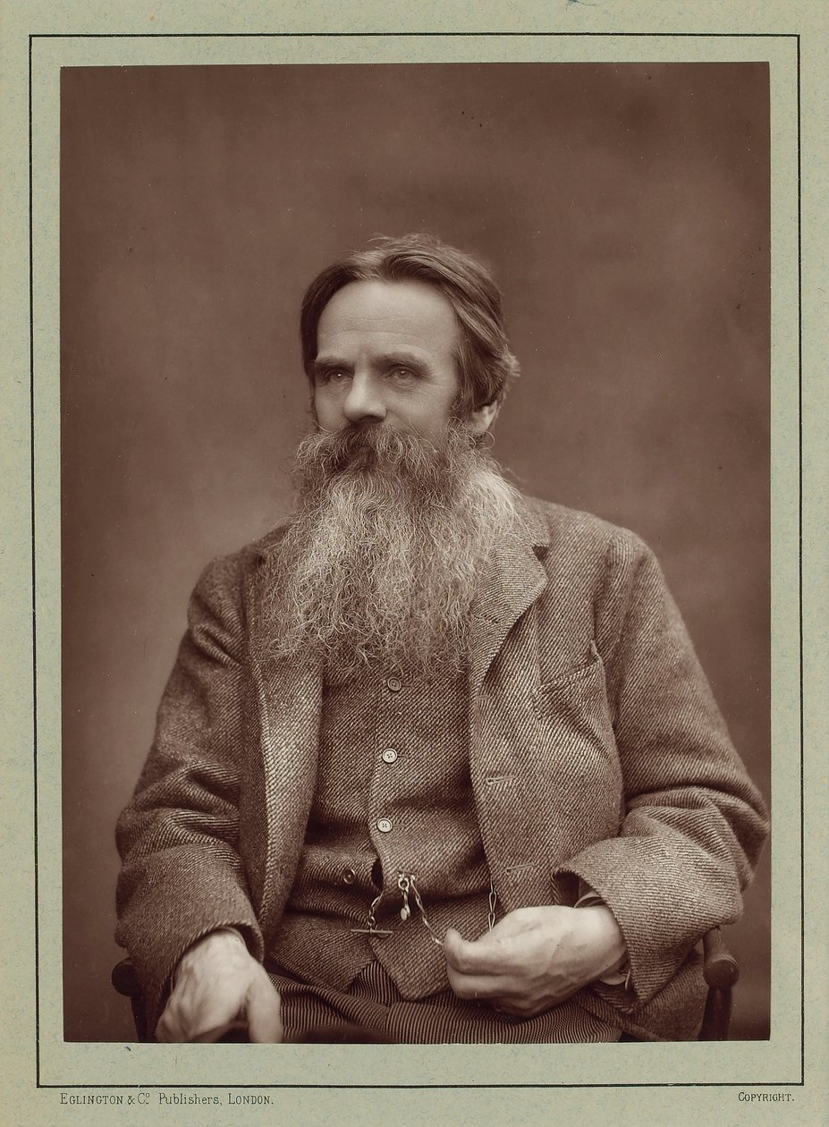 Porträt des Malers William Holman Hunt 1827-1910, ca. 1885 von Herbert Rose Barraud